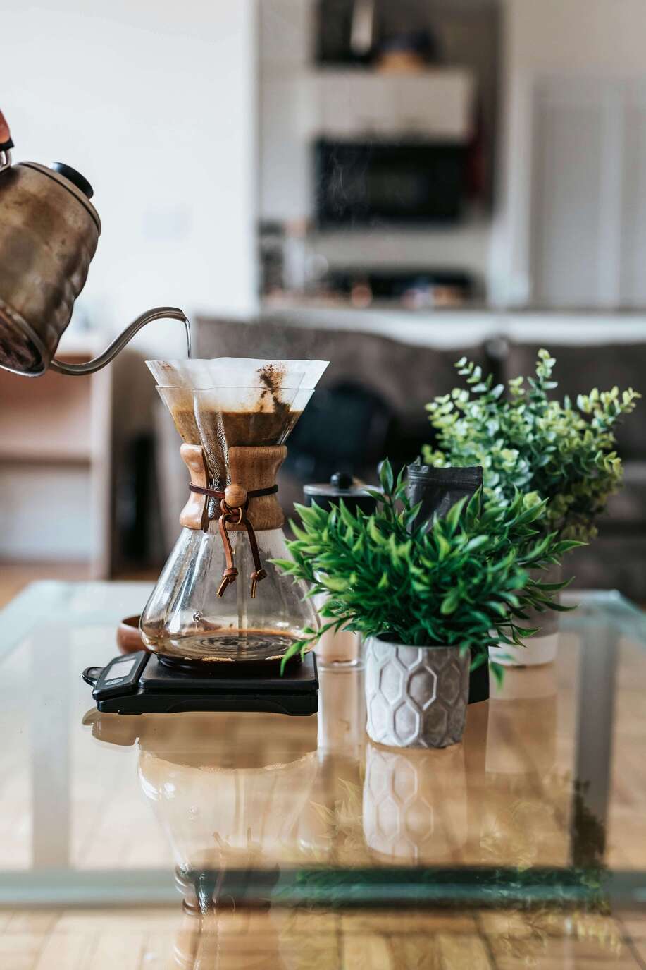 specialty coffee chemex