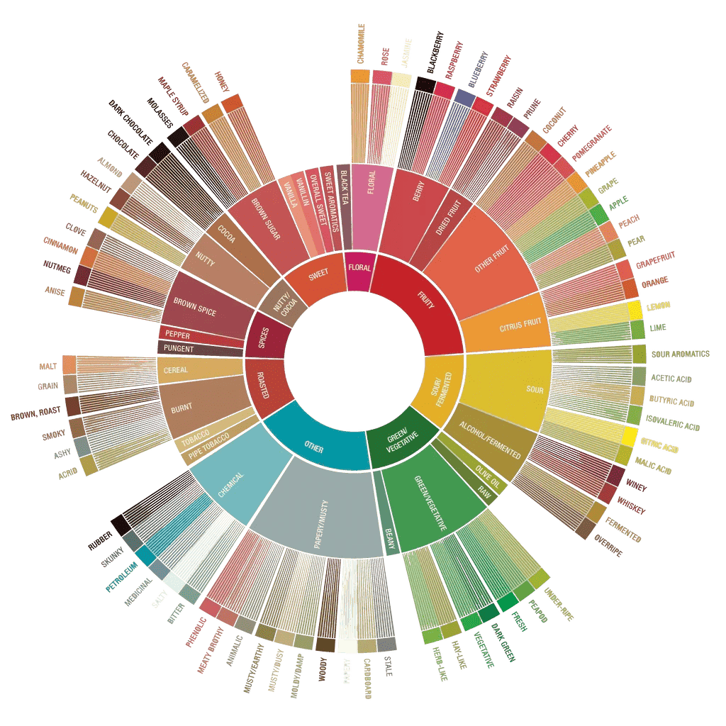 Coffee tasting wheel