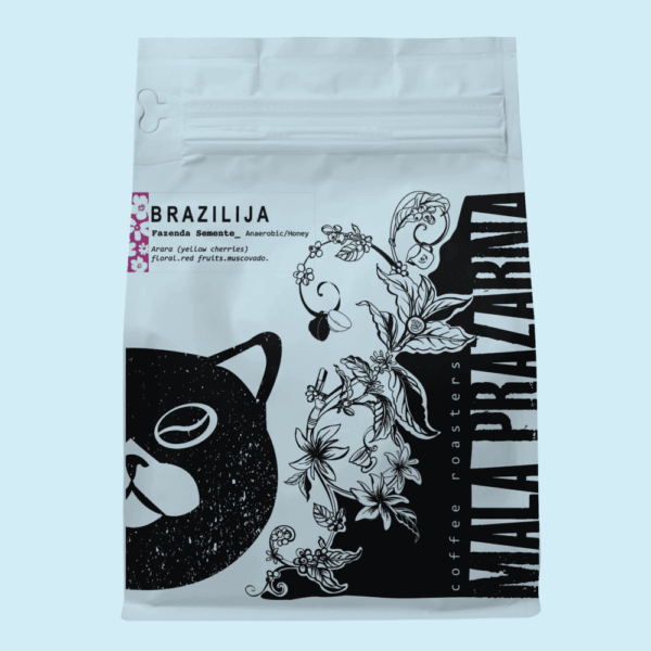 Brazilija Fazenda Semente